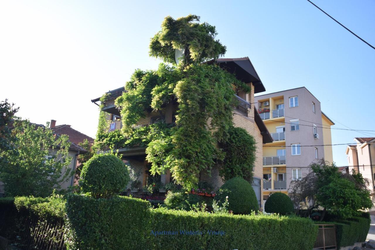 Apartman Wisteria ヴラニェ エクステリア 写真