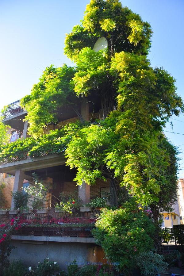 Apartman Wisteria ヴラニェ エクステリア 写真