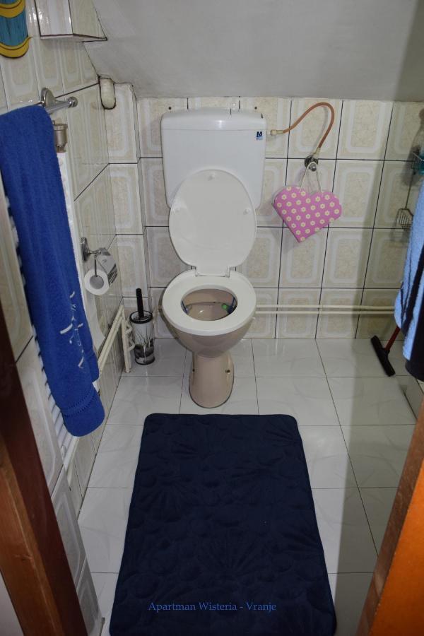 Apartman Wisteria ヴラニェ エクステリア 写真