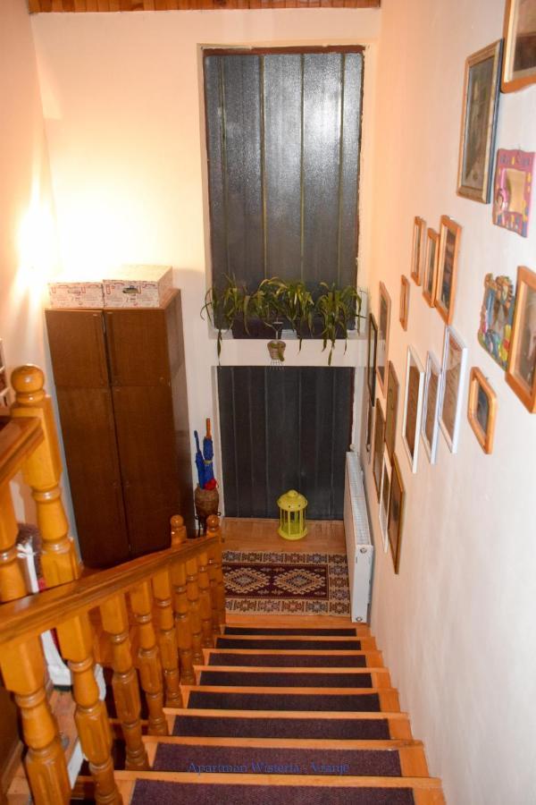 Apartman Wisteria ヴラニェ エクステリア 写真