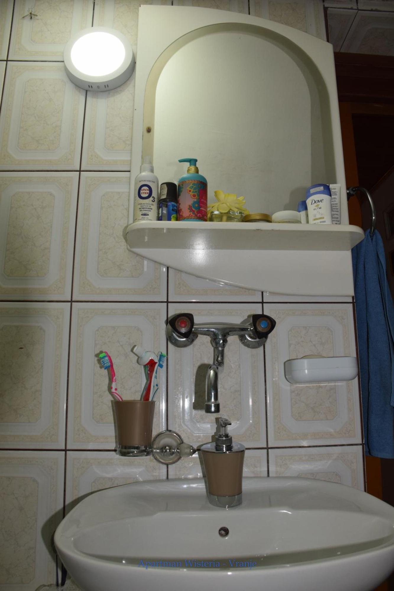 Apartman Wisteria ヴラニェ エクステリア 写真
